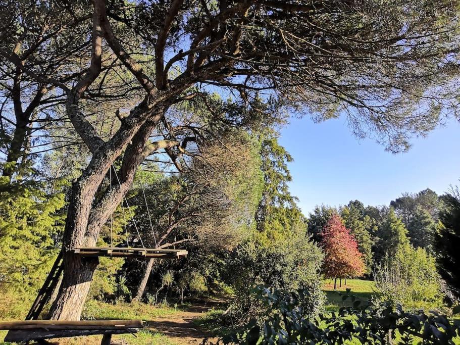 Pine Lodge - Direct Train To Porto Valongo  Εξωτερικό φωτογραφία